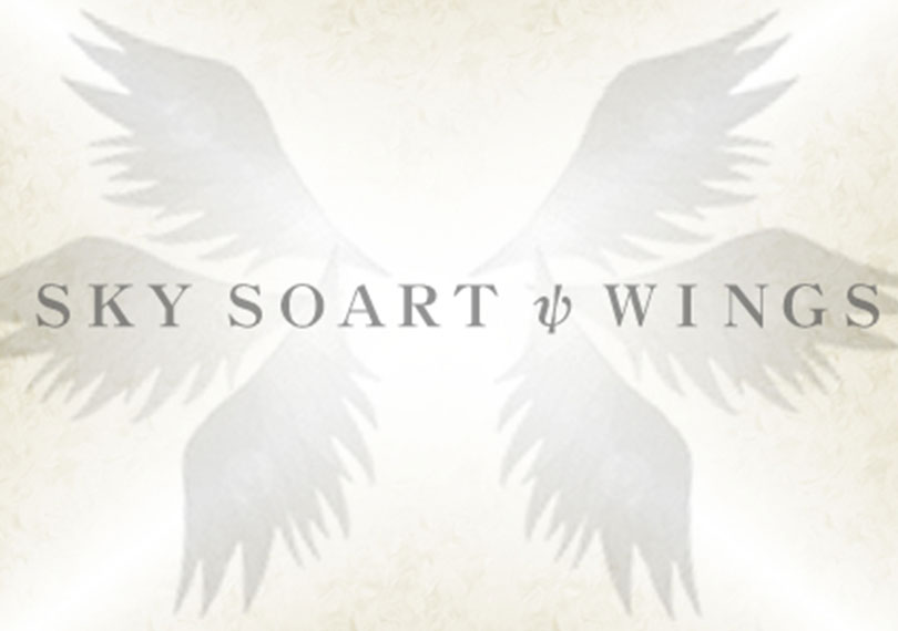 ＳＫＹ　ＳＯＡＲＴ ψ ＷＩＮＧＳ