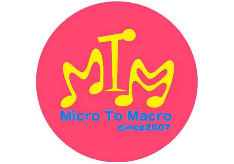 Micro To Macro