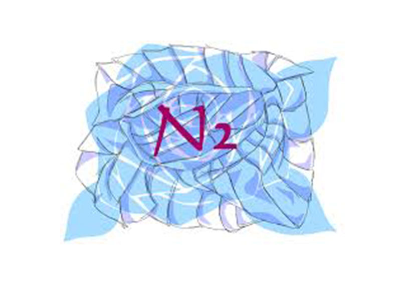 N₂