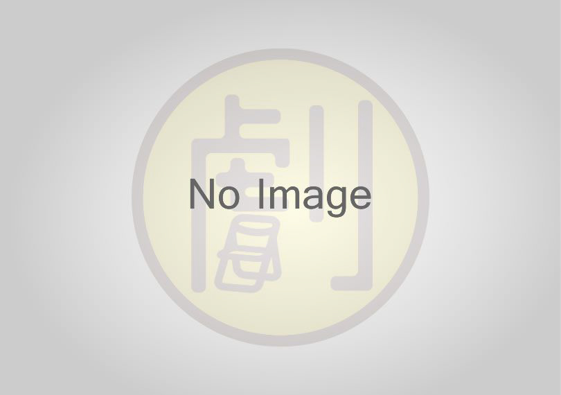 ラジオスターの悲劇