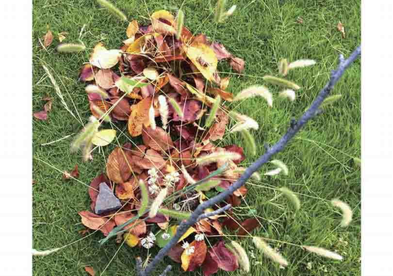 イトイーランド